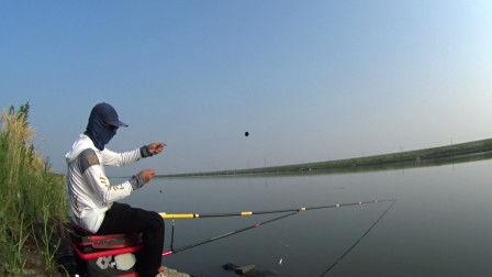 钓鱼的视频