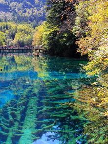 九寨沟视频,自然奇观与人间仙境的完美融合